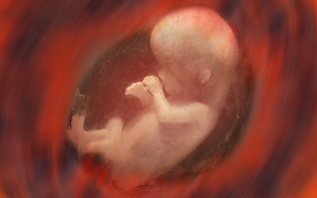 Special Report: An In-Depth Look at Abortion Ballot Measures Amid President Trump’s Sweeping Historic Victory
